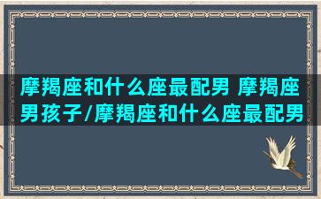 摩羯座和什么座最配男 摩羯座 男孩子/摩羯座和什么座最配男 摩羯座 男孩子-我的网站